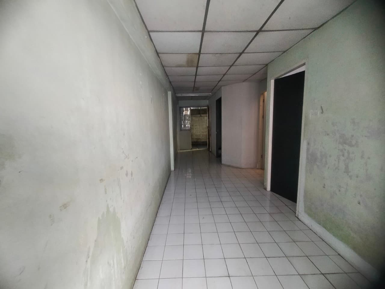 line_724885469432279.jpg