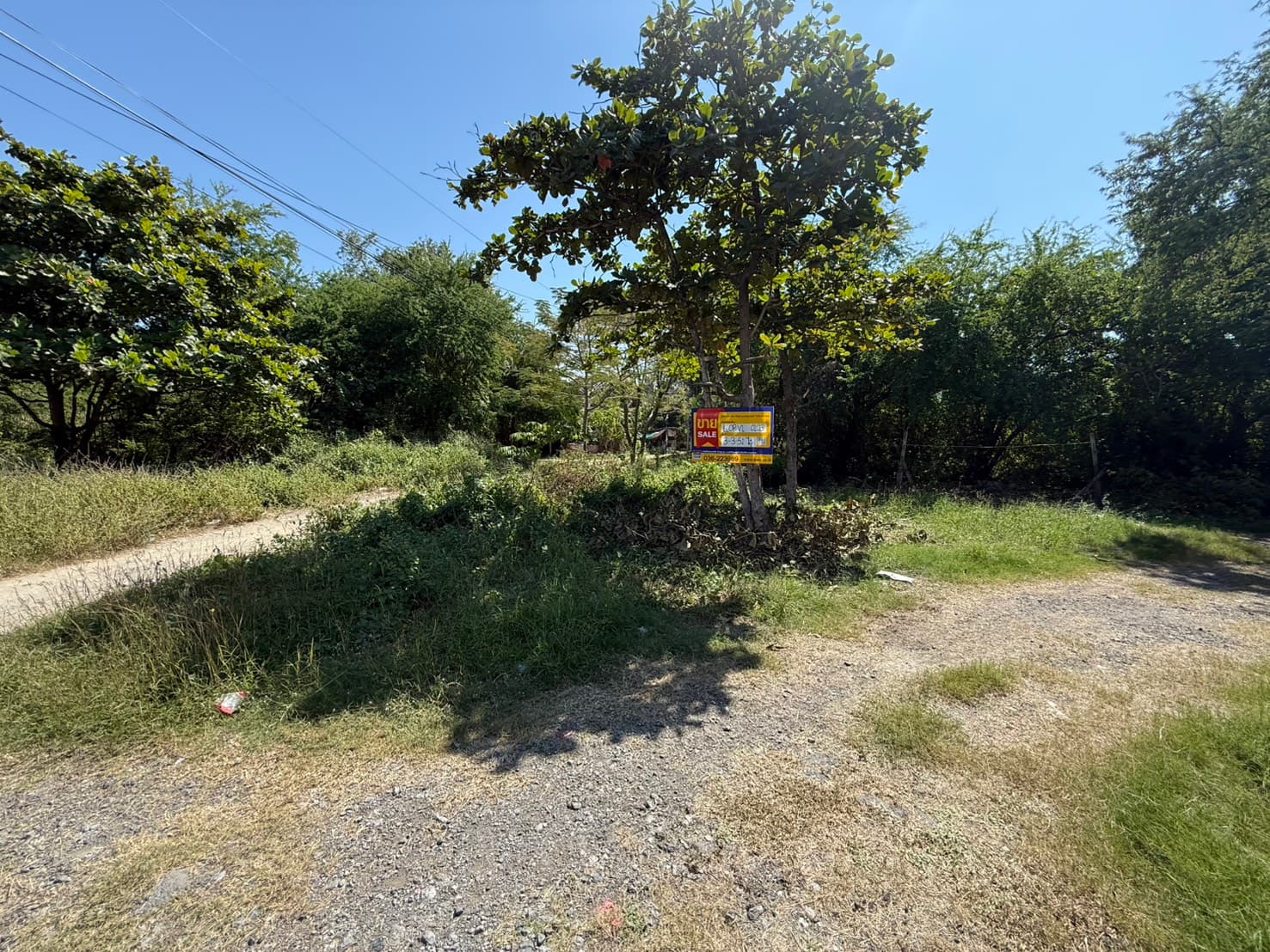 S__172359739_0.jpg