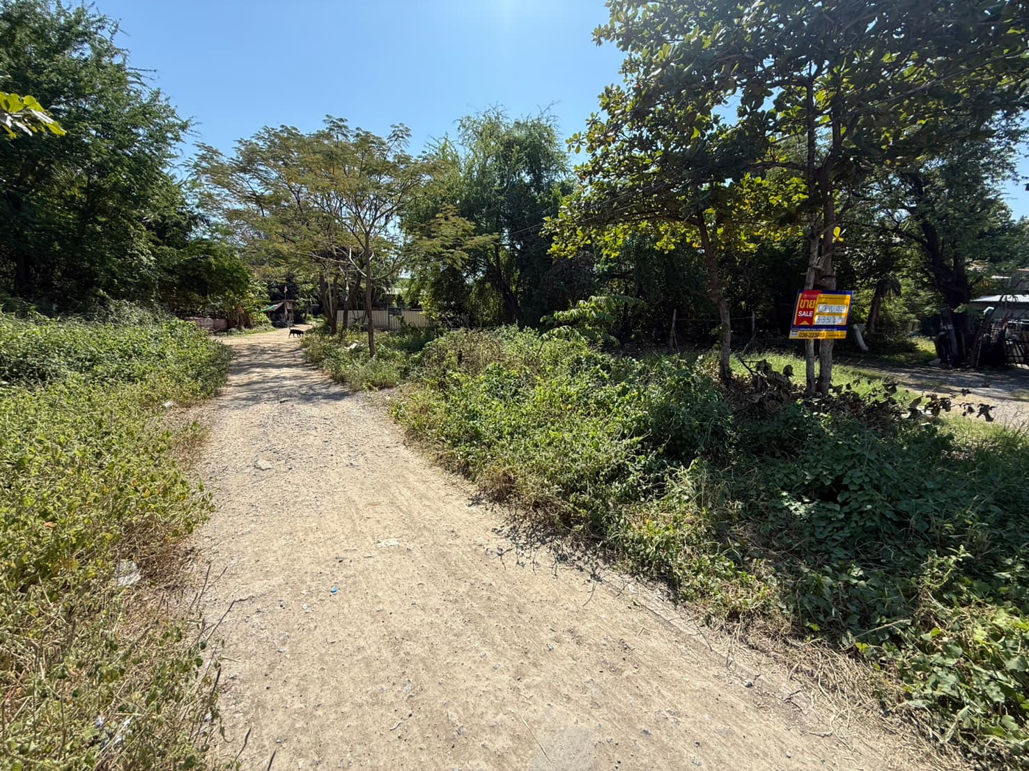 S__172359741_0.jpg