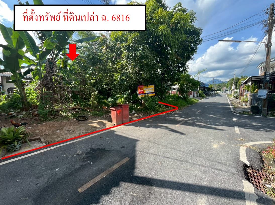 Picture7.jpg