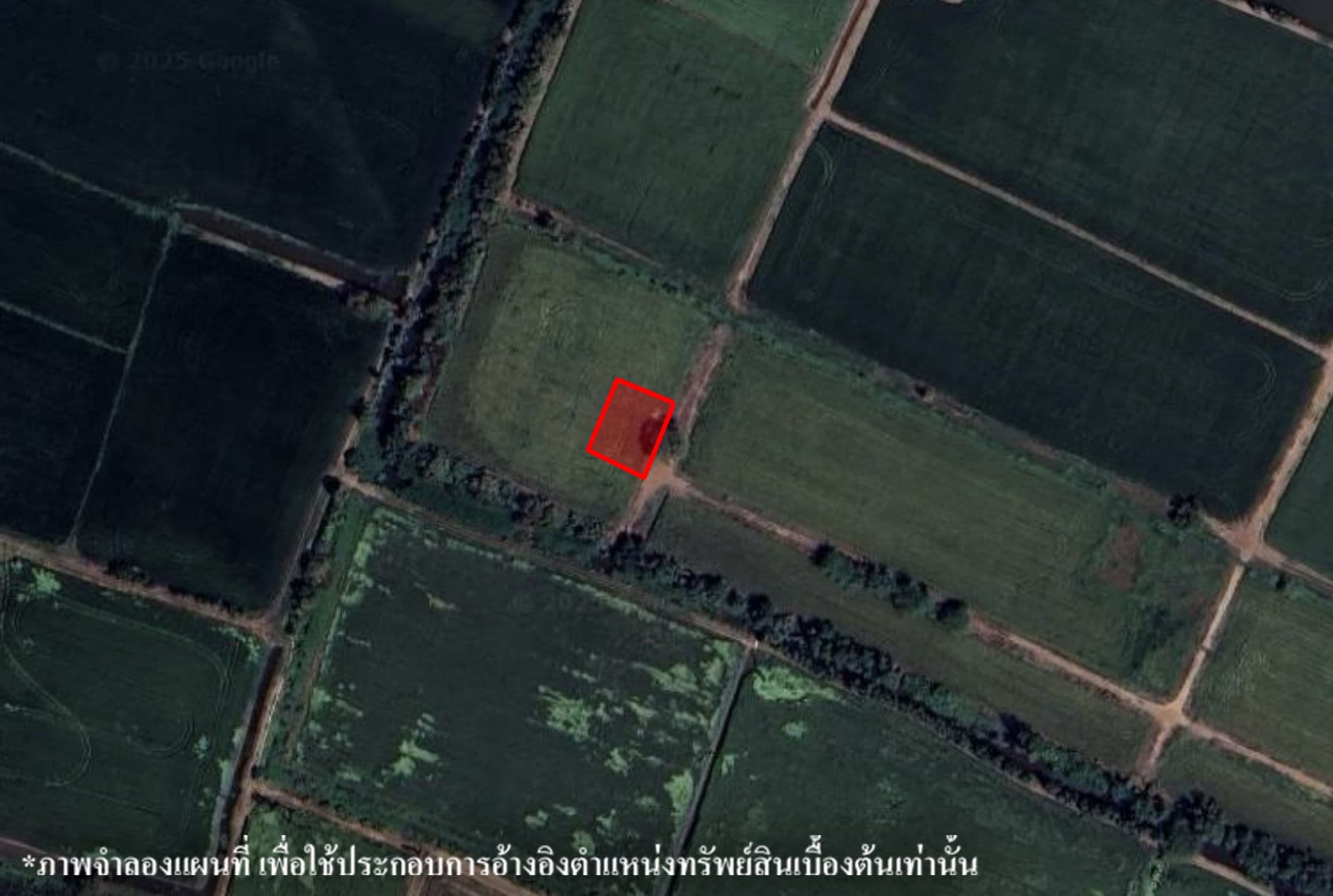 image (2).png