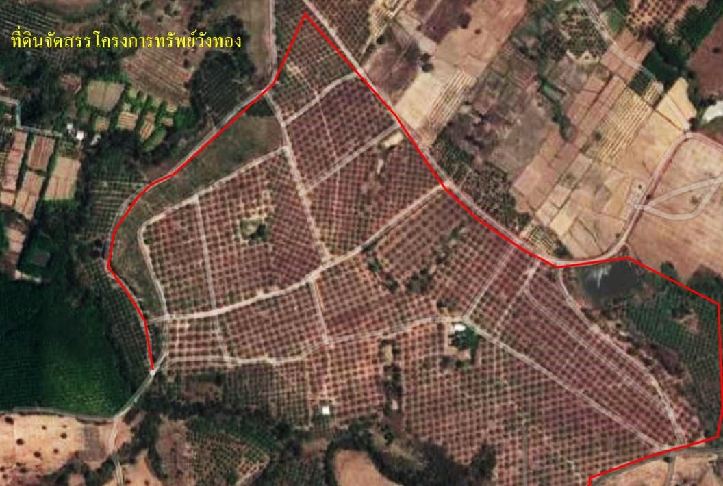 full_20210112152810.jpg