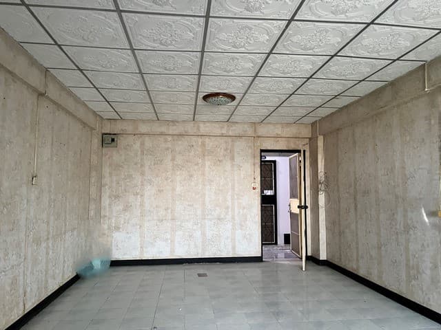 530603.jpg