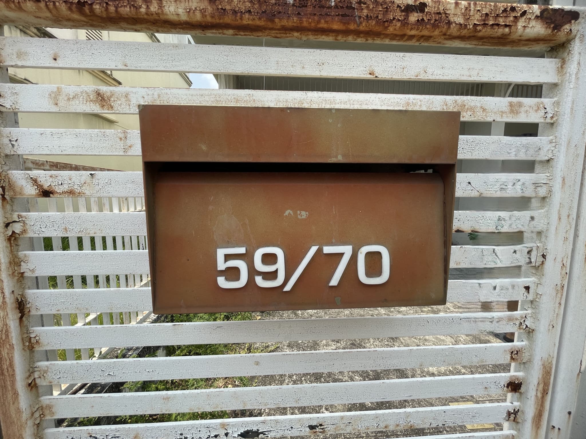 53509c3d-154408-6.jpg