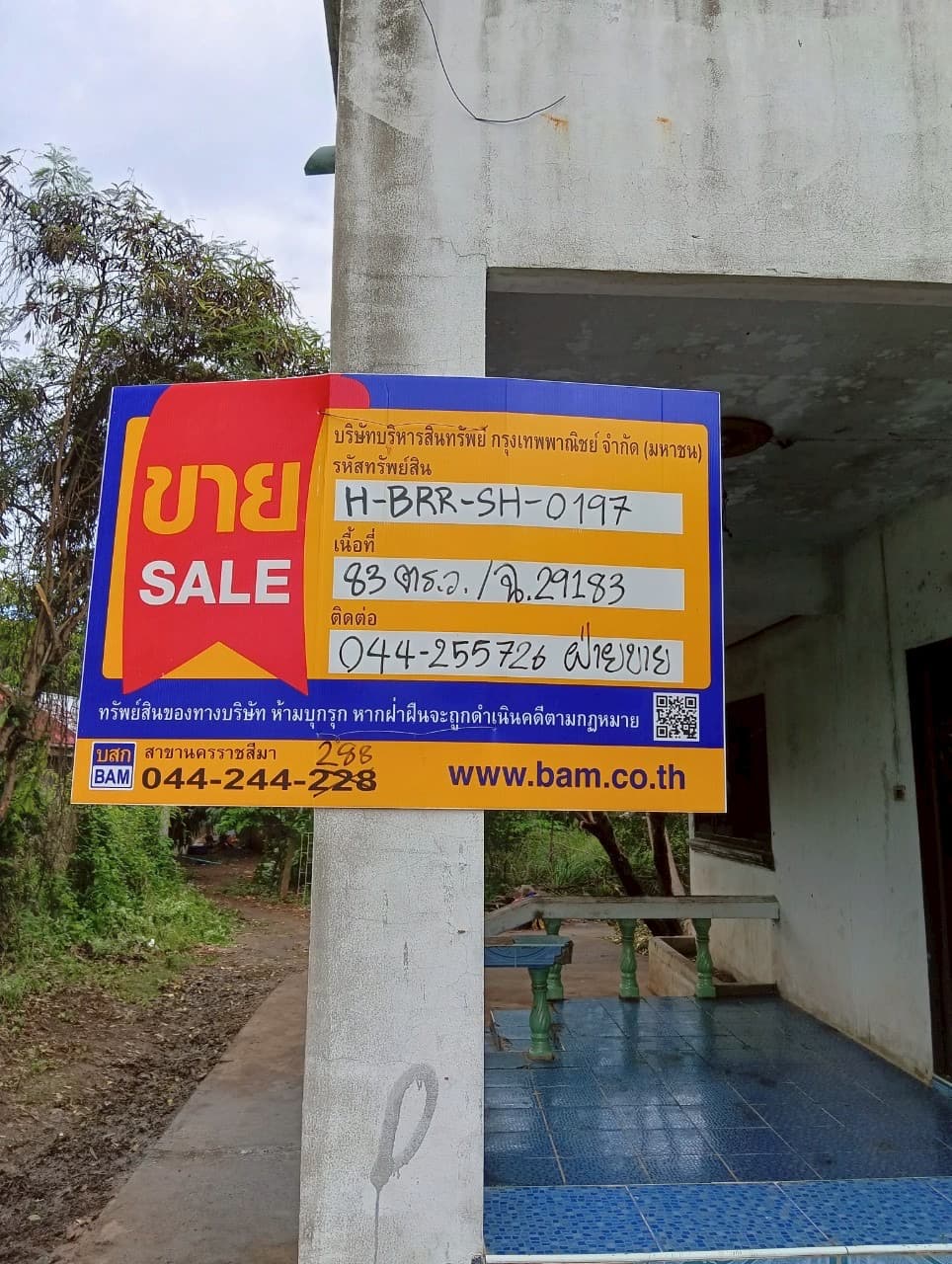 MBMV6221.JPEG