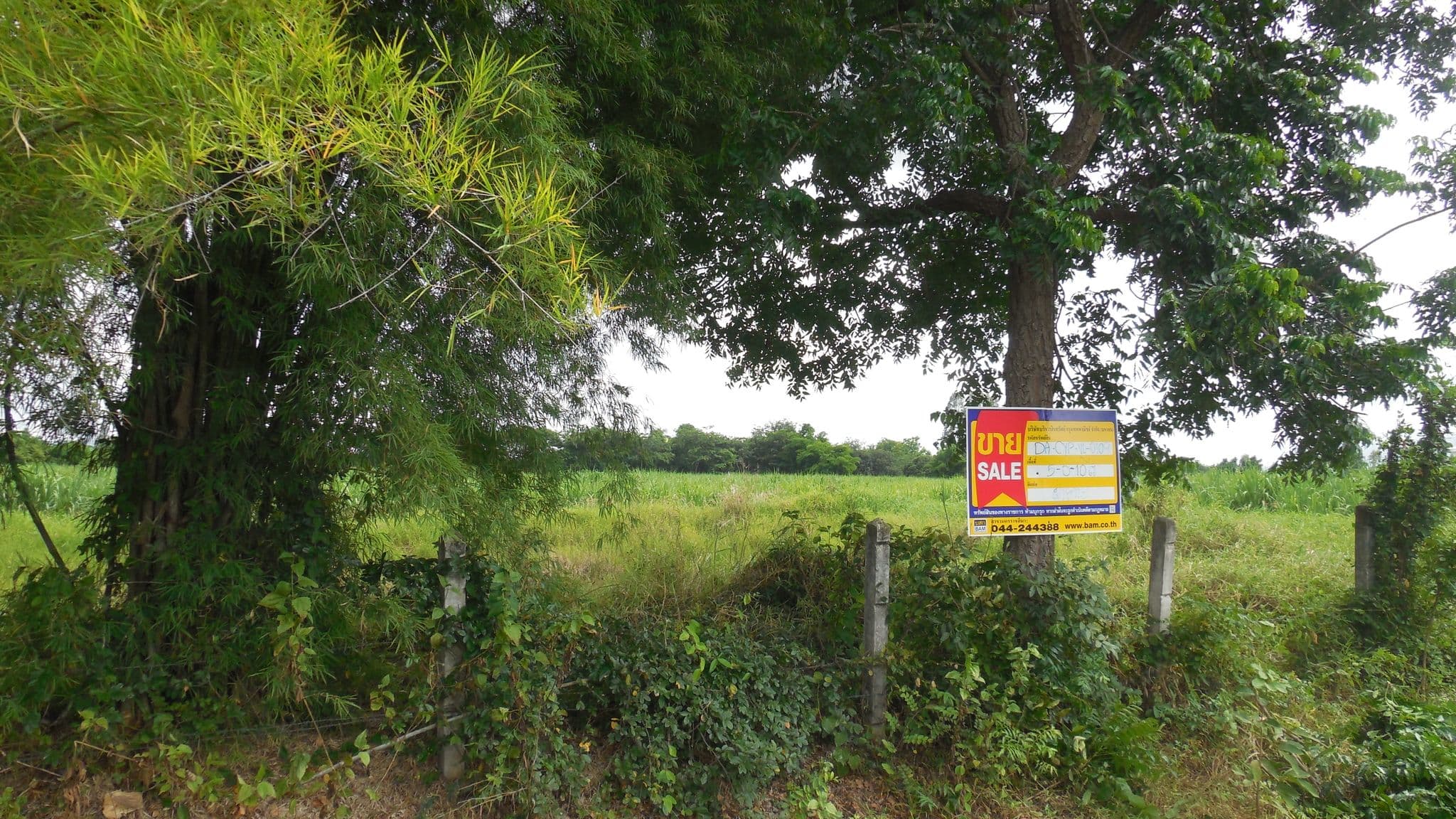 DSCN4324.JPG