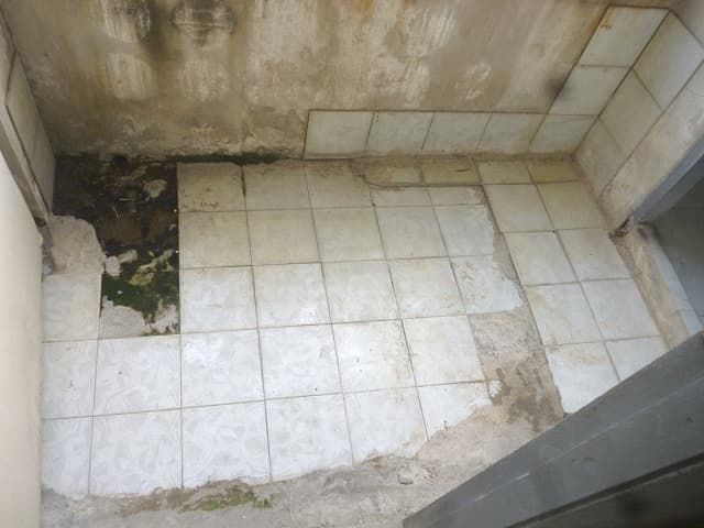 full_20200418140445.jpg
