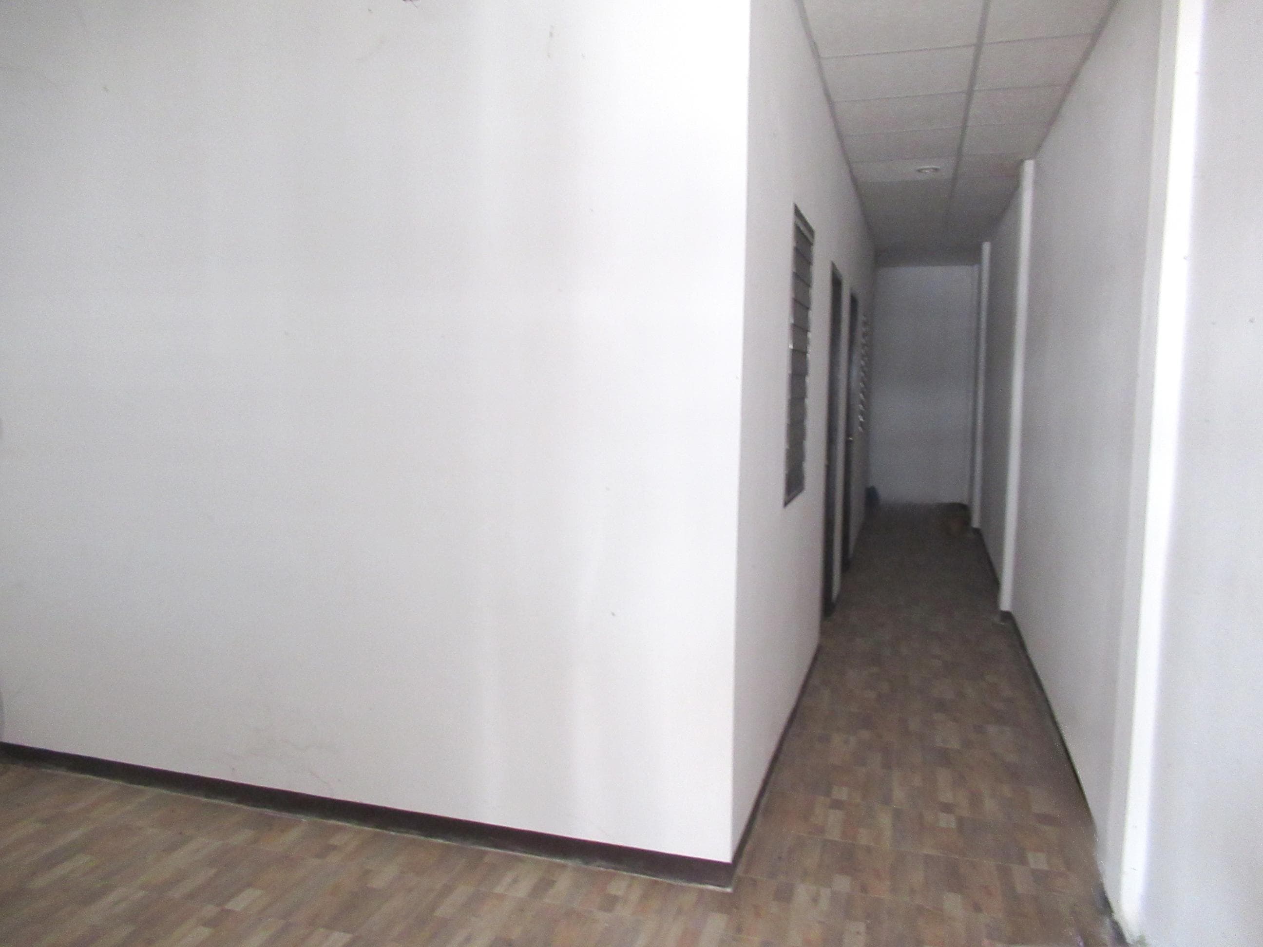 21c27237-IMG_2896.jpg