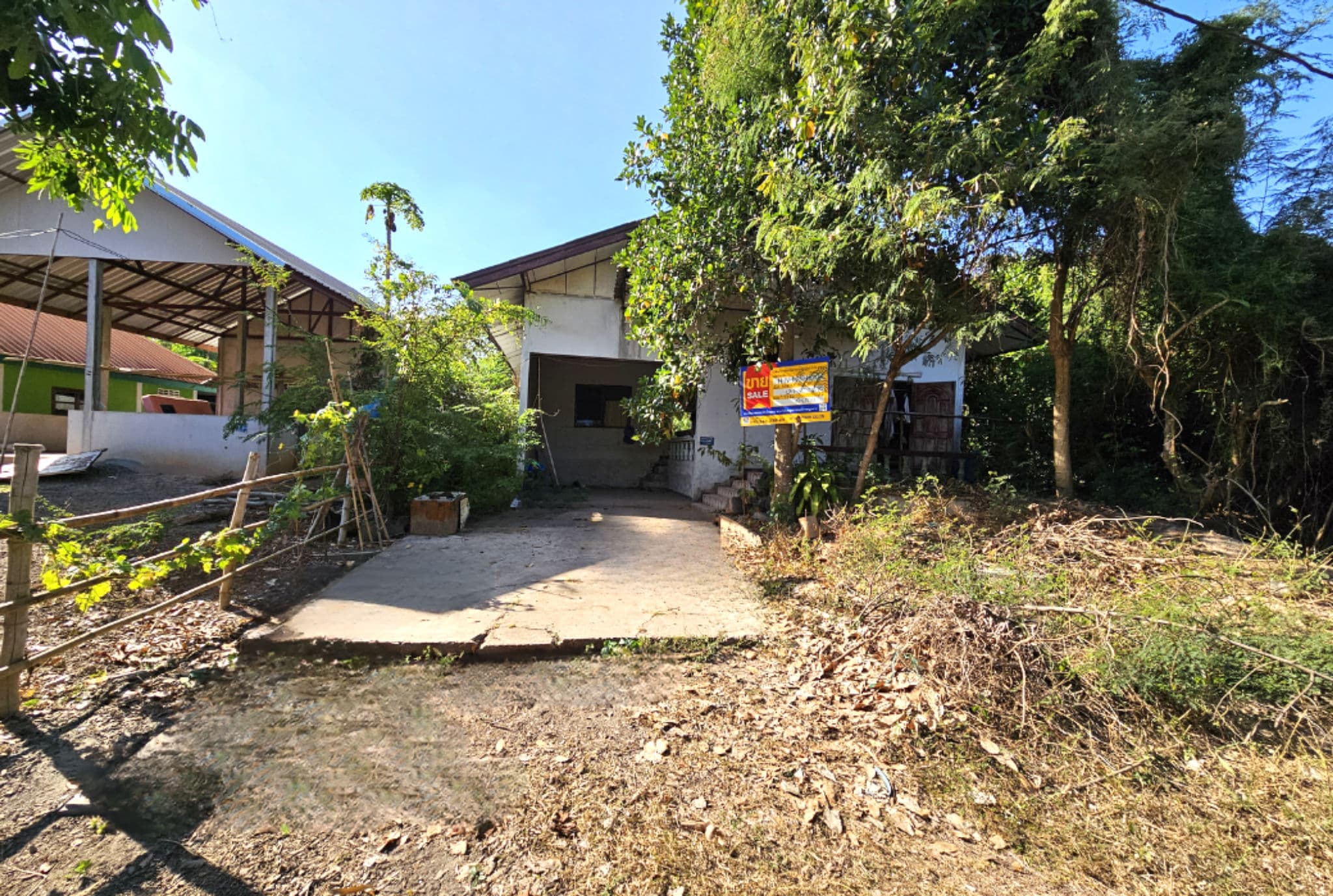 Canva Bamm (94).png