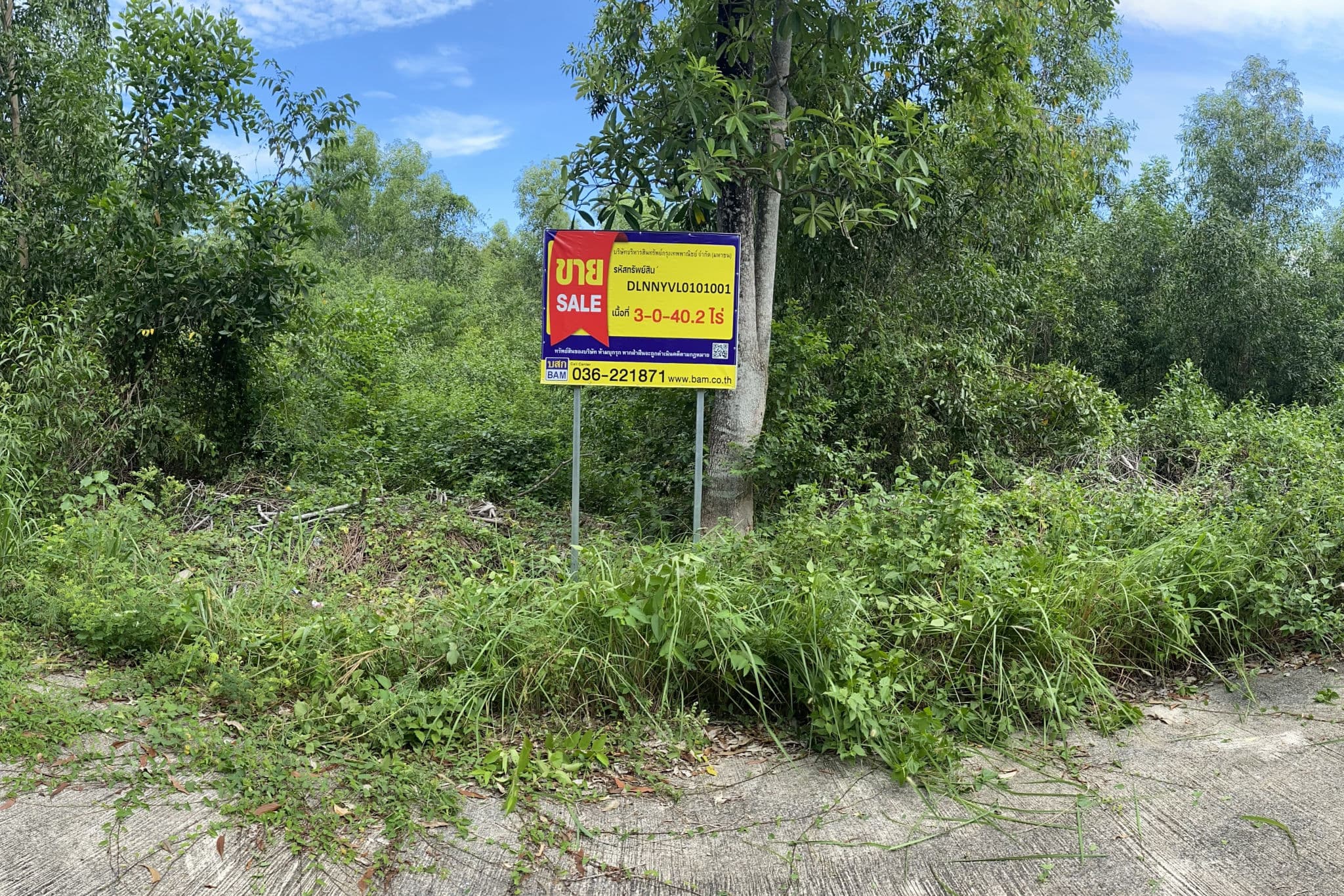 527cbec9-58004-0.jpg