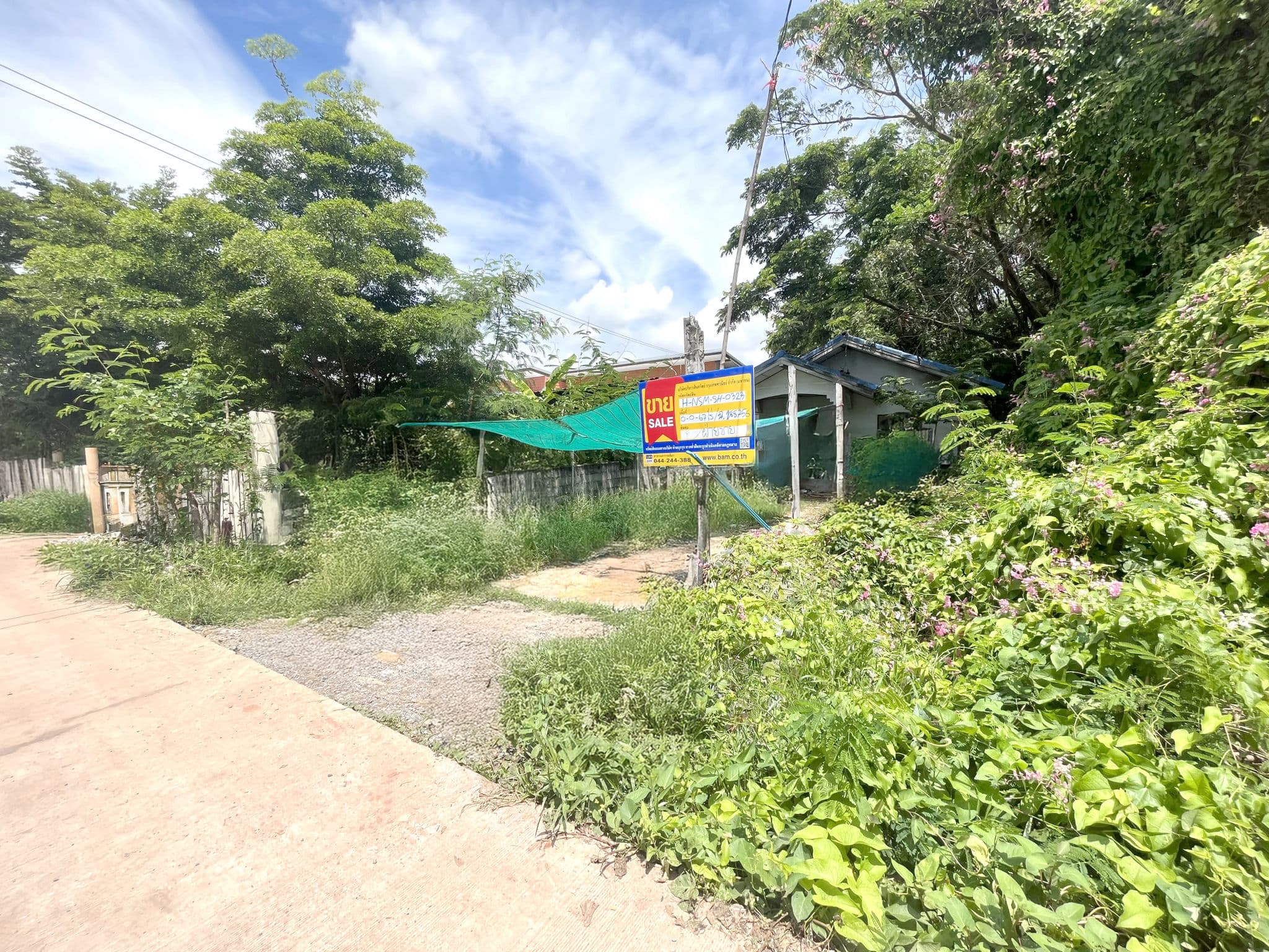 94ec667d-138383-0.jpg
