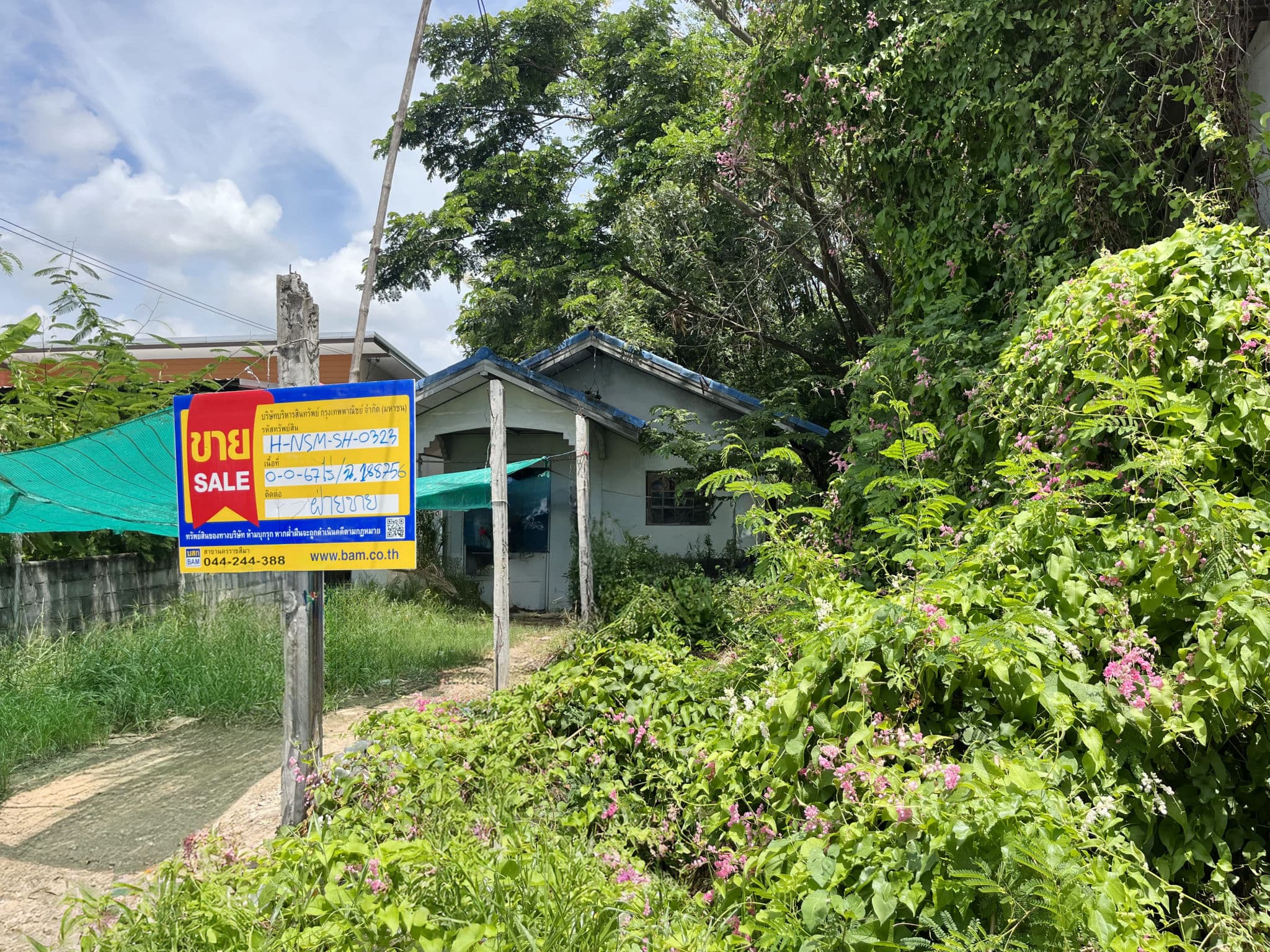 ae2222dc-138383-0.jpg