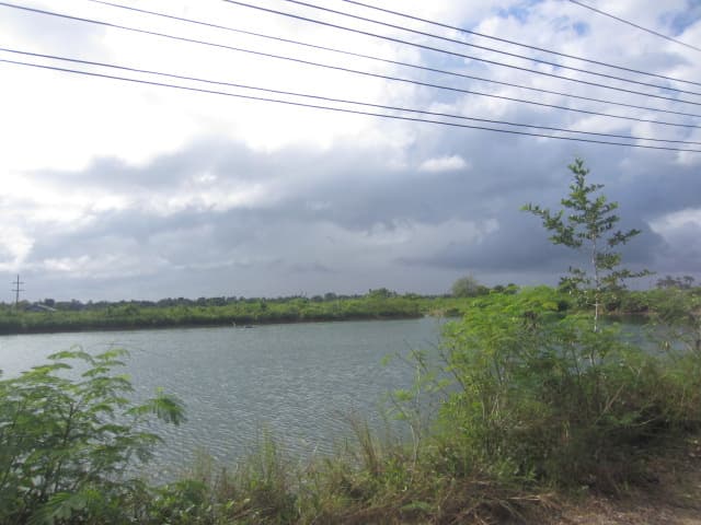 754e4731-IMG_0431.jpg