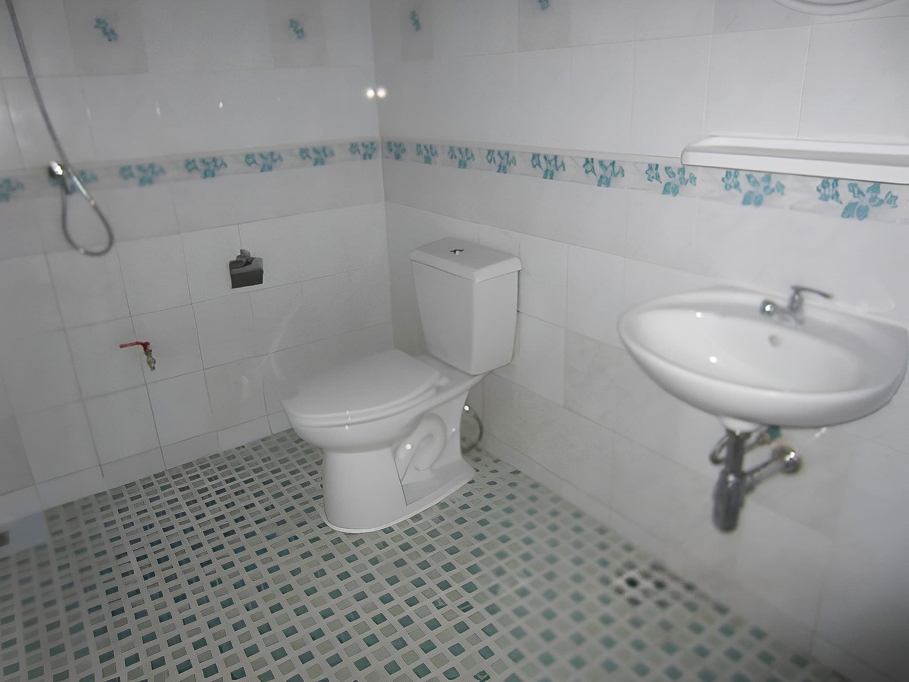 full_20220113165607.jpg
