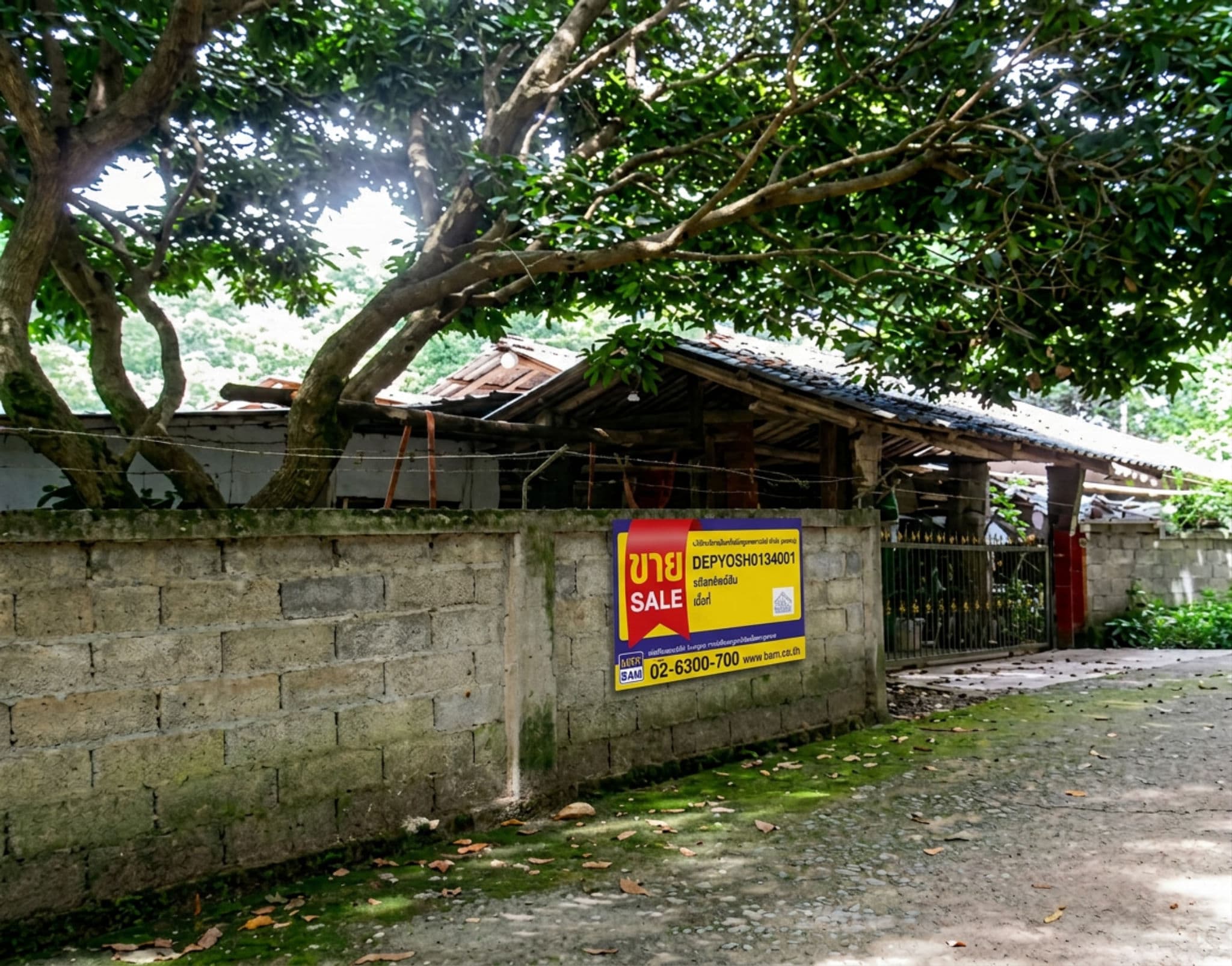 freepik_depyosh0134001_0001.png