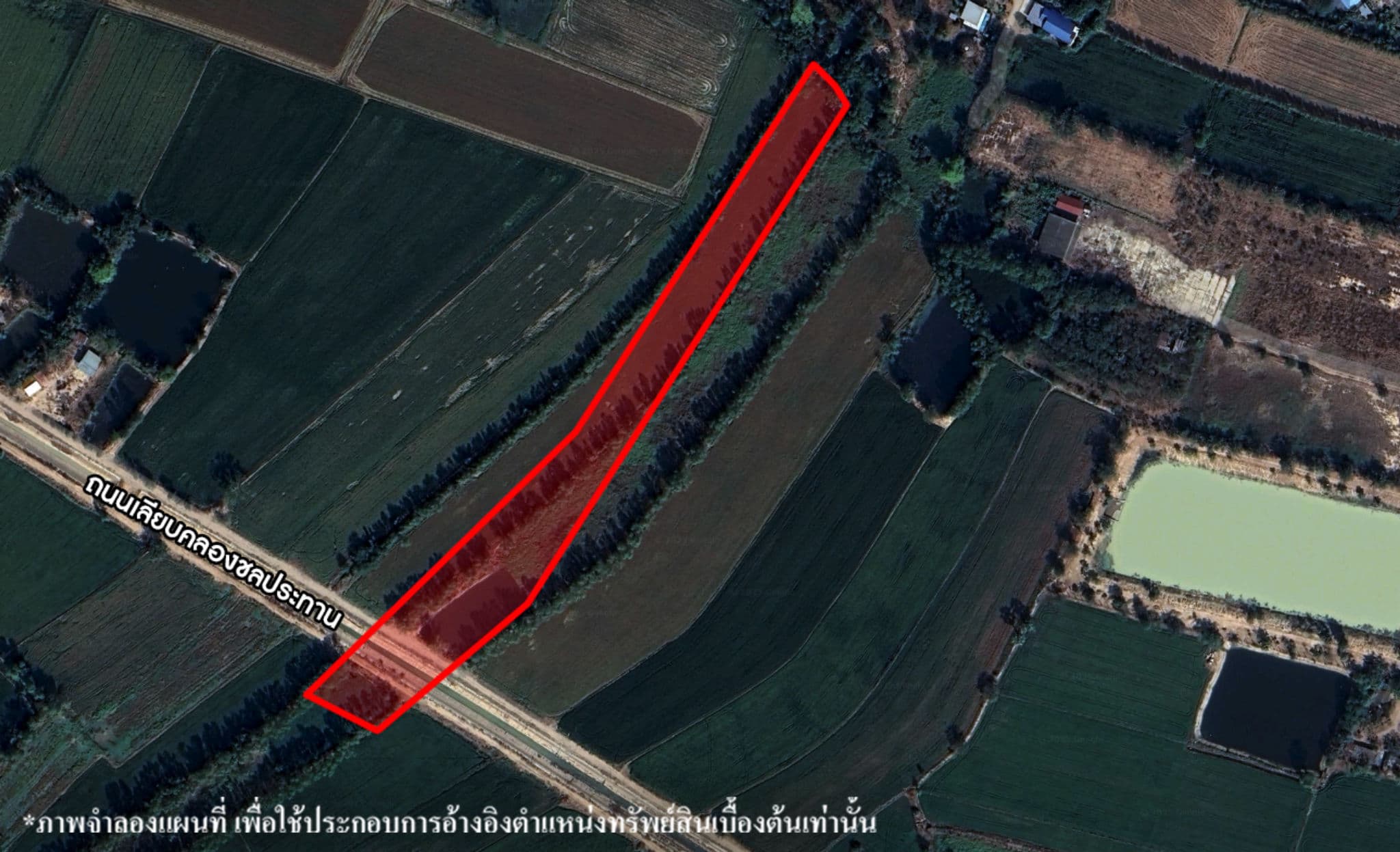 image (419).png