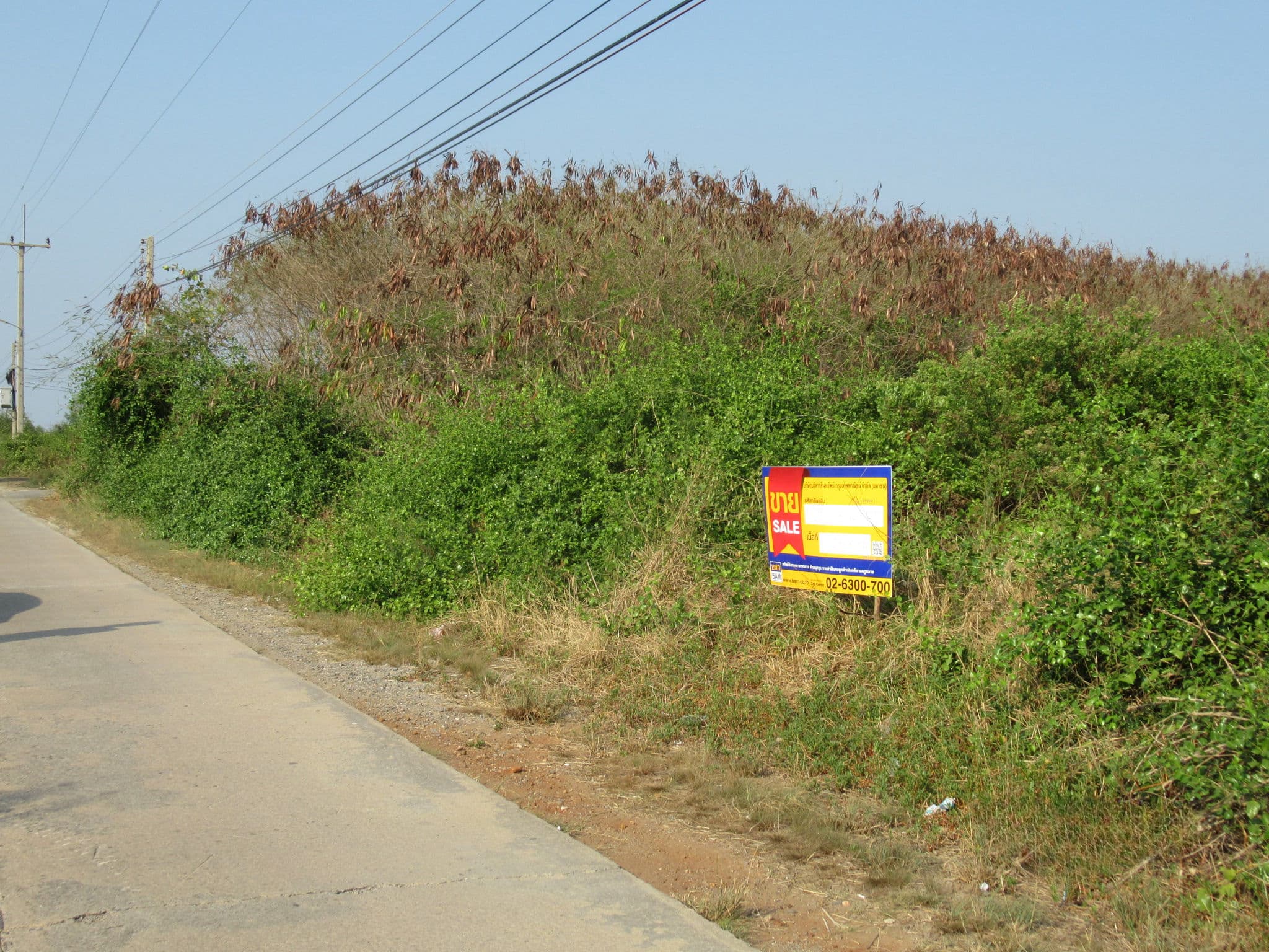 DMSSKVL0100001-3.jpg