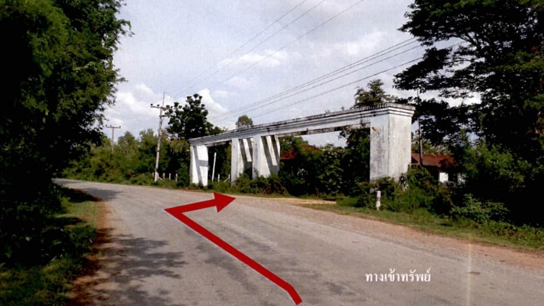 Picture29.jpg