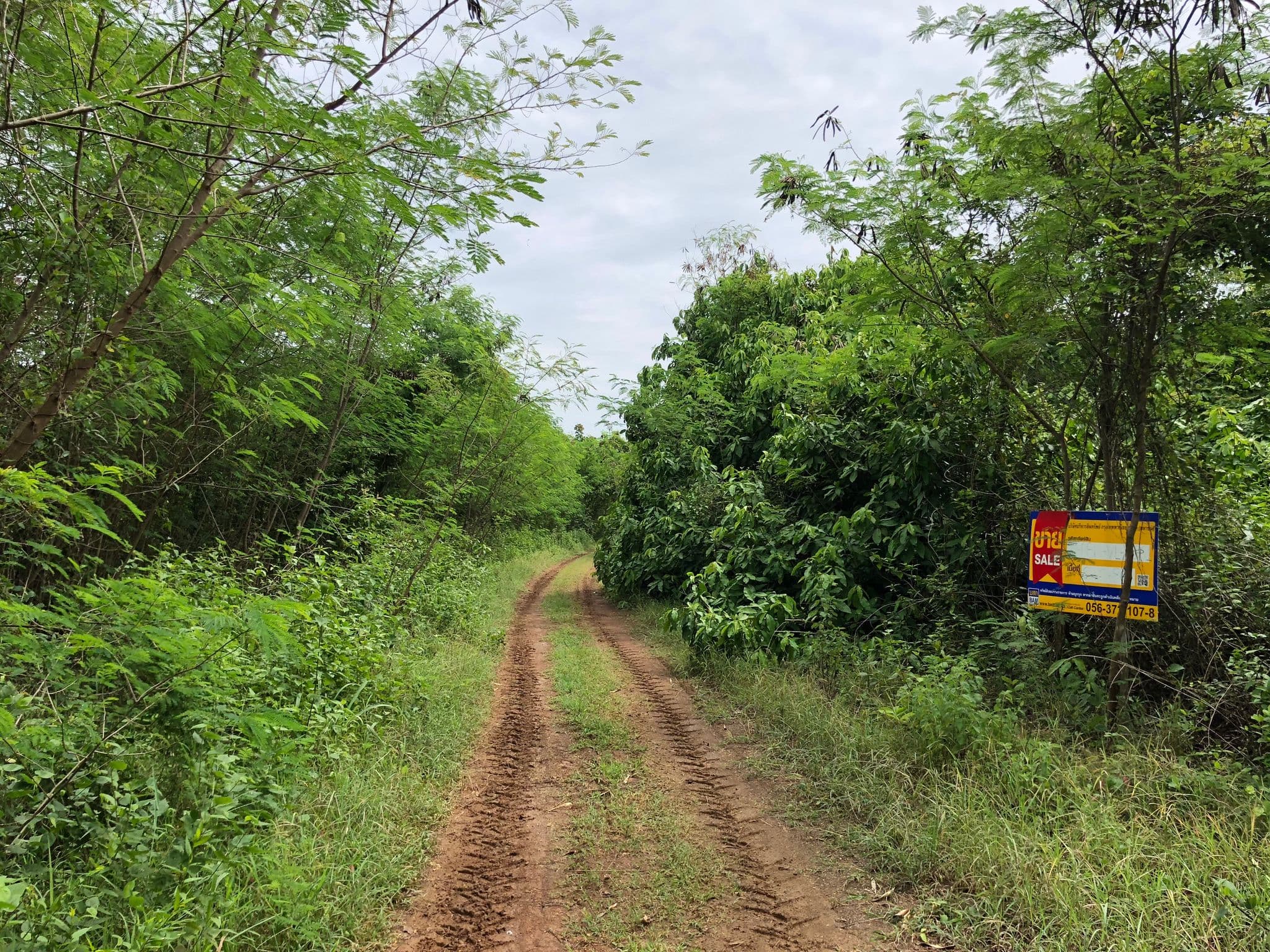 IMG_3047.JPG