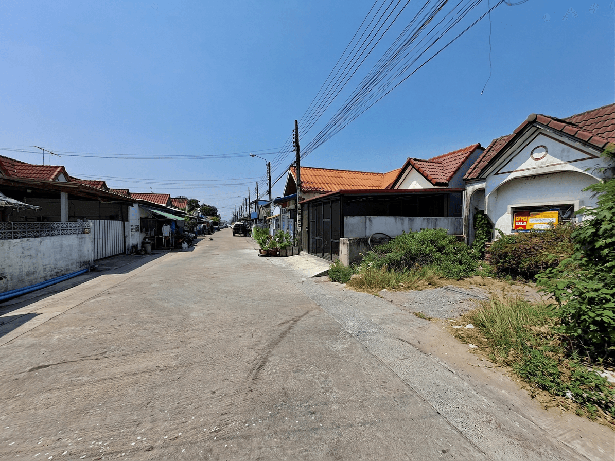 freepik_0005 (3).png