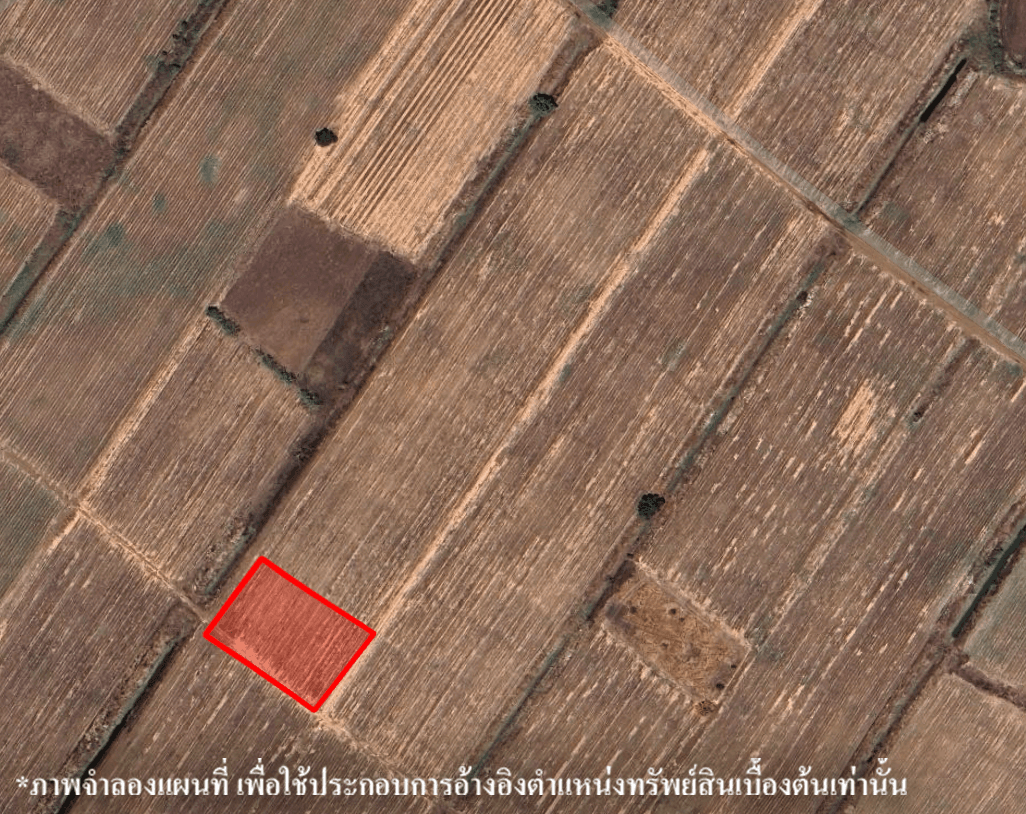 image (395).png