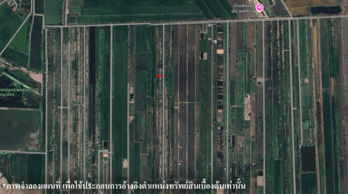 image (14).png