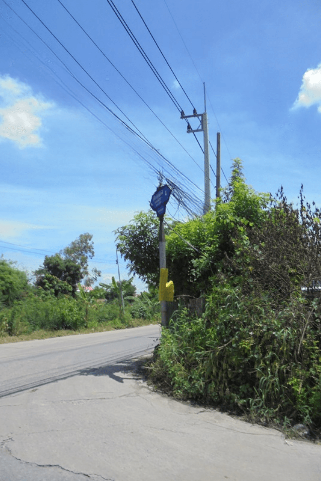 Canva Bamm (22).png