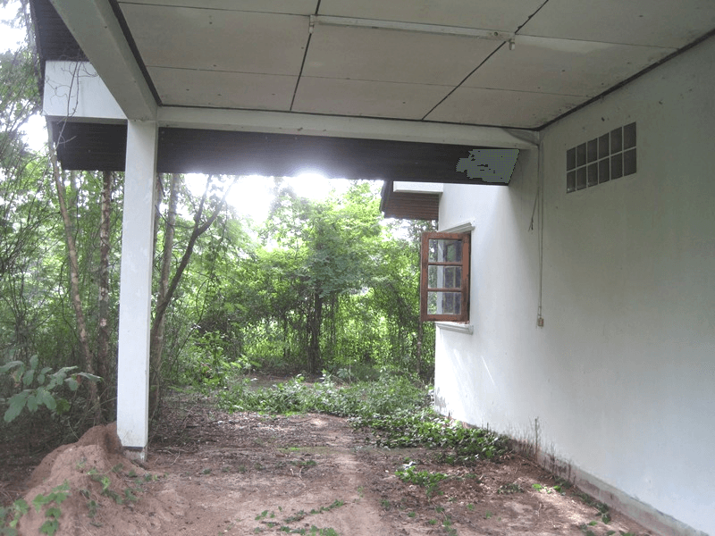 image - 2025-08-25T130434.104.png