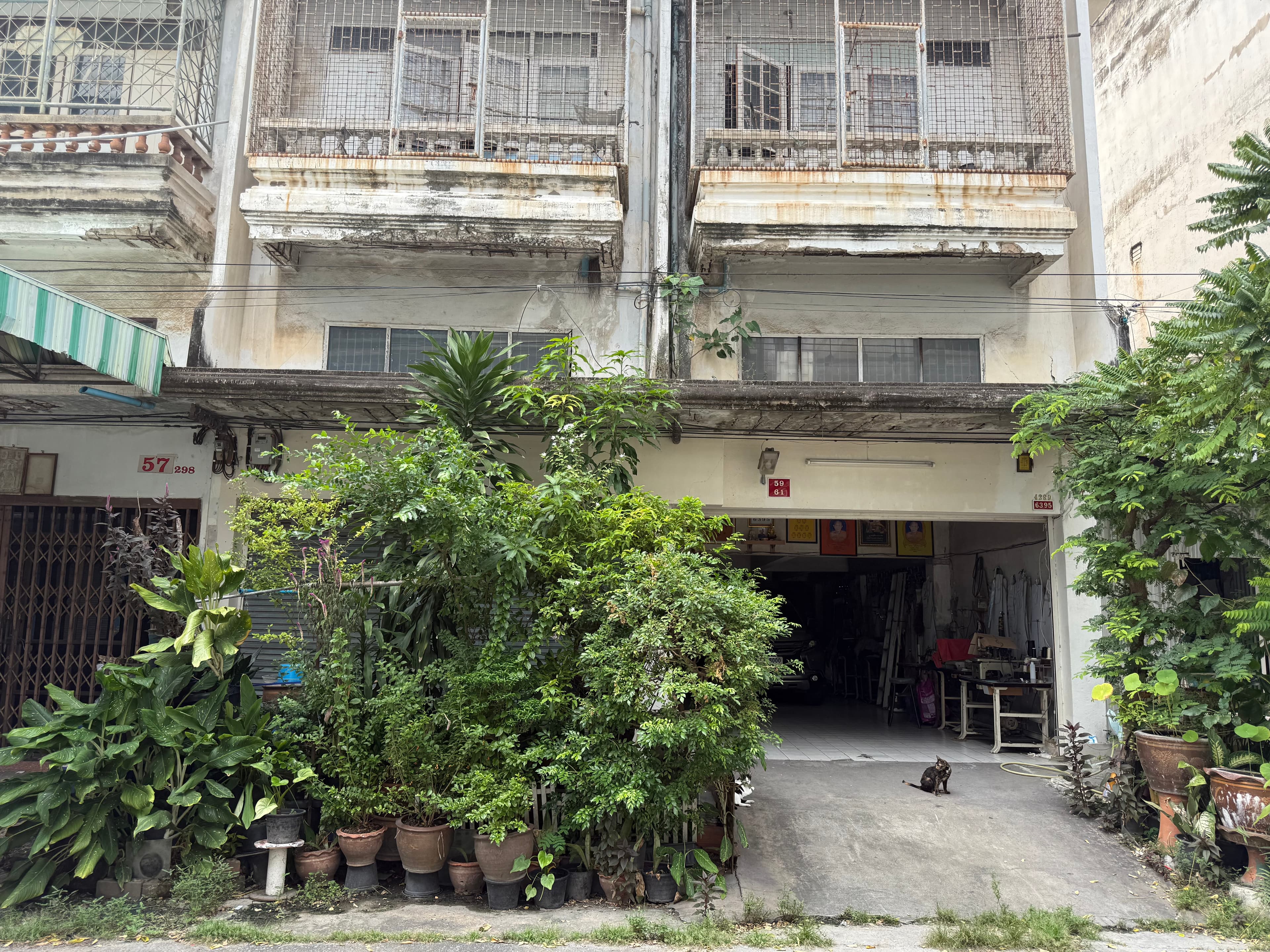 IMG_8151.jpeg