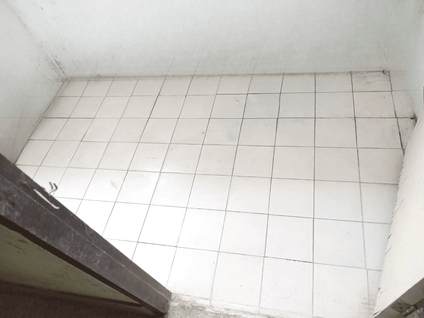 image (13).png
