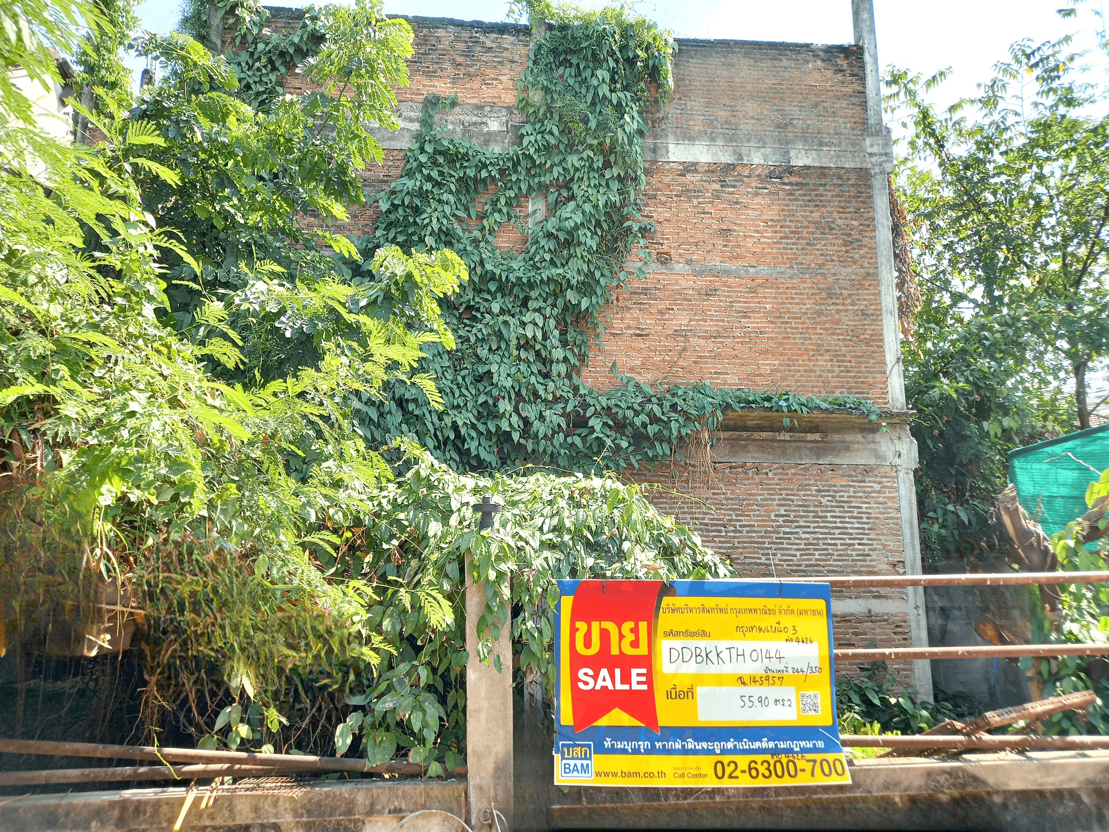 image (12).png