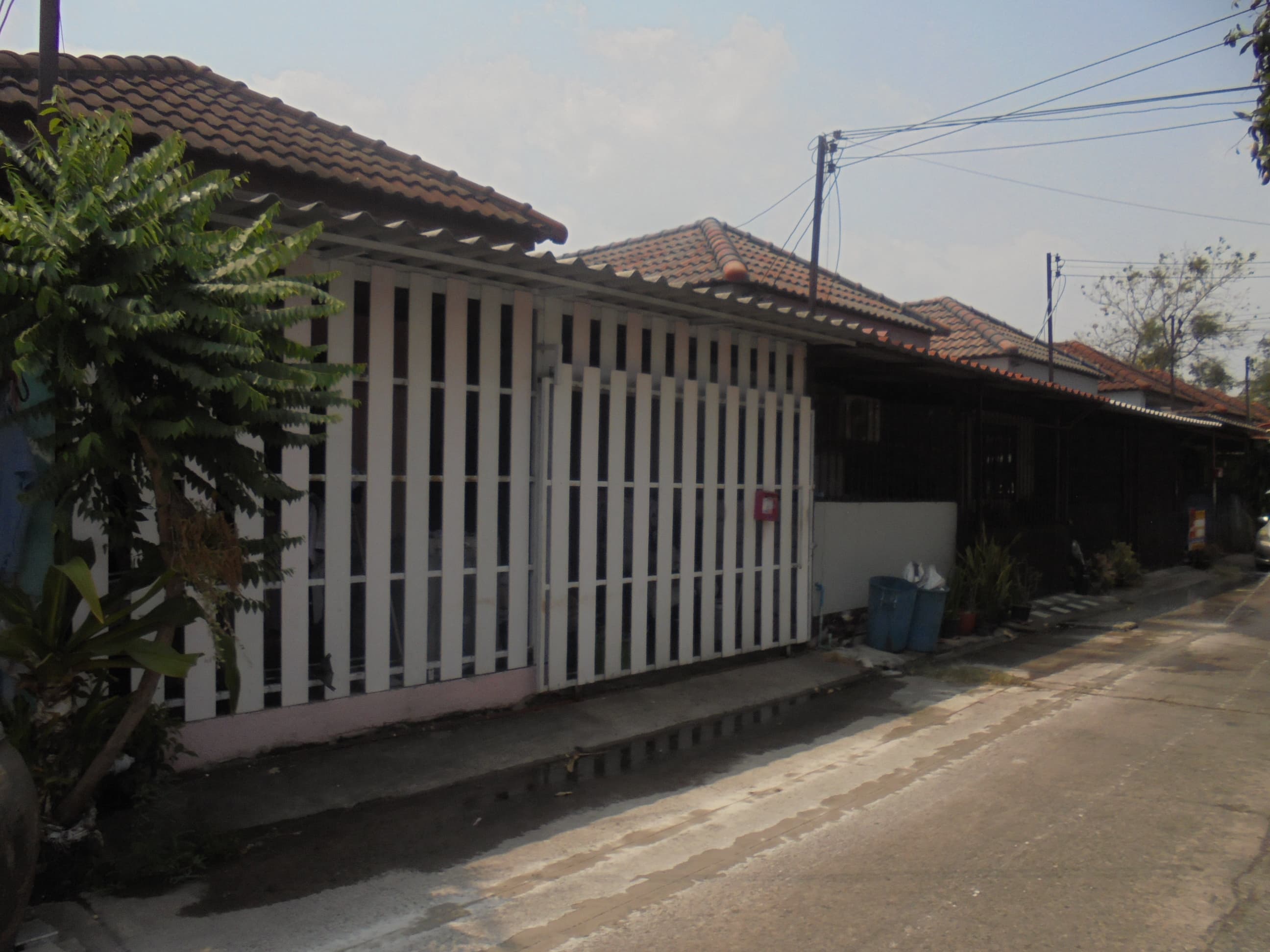 DSC07876.JPG