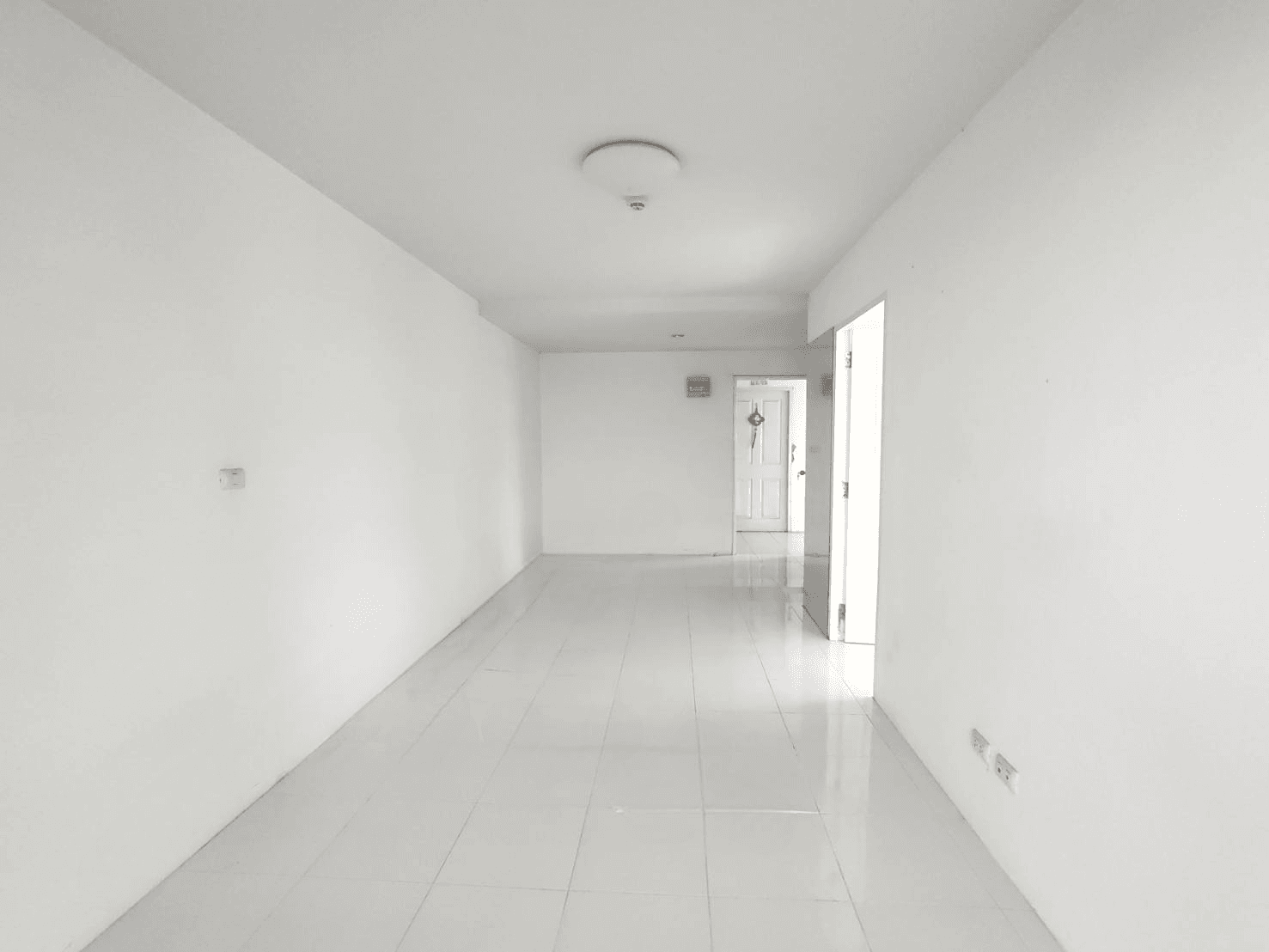 image (10).png