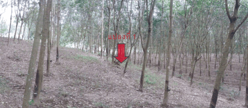 1.PNG