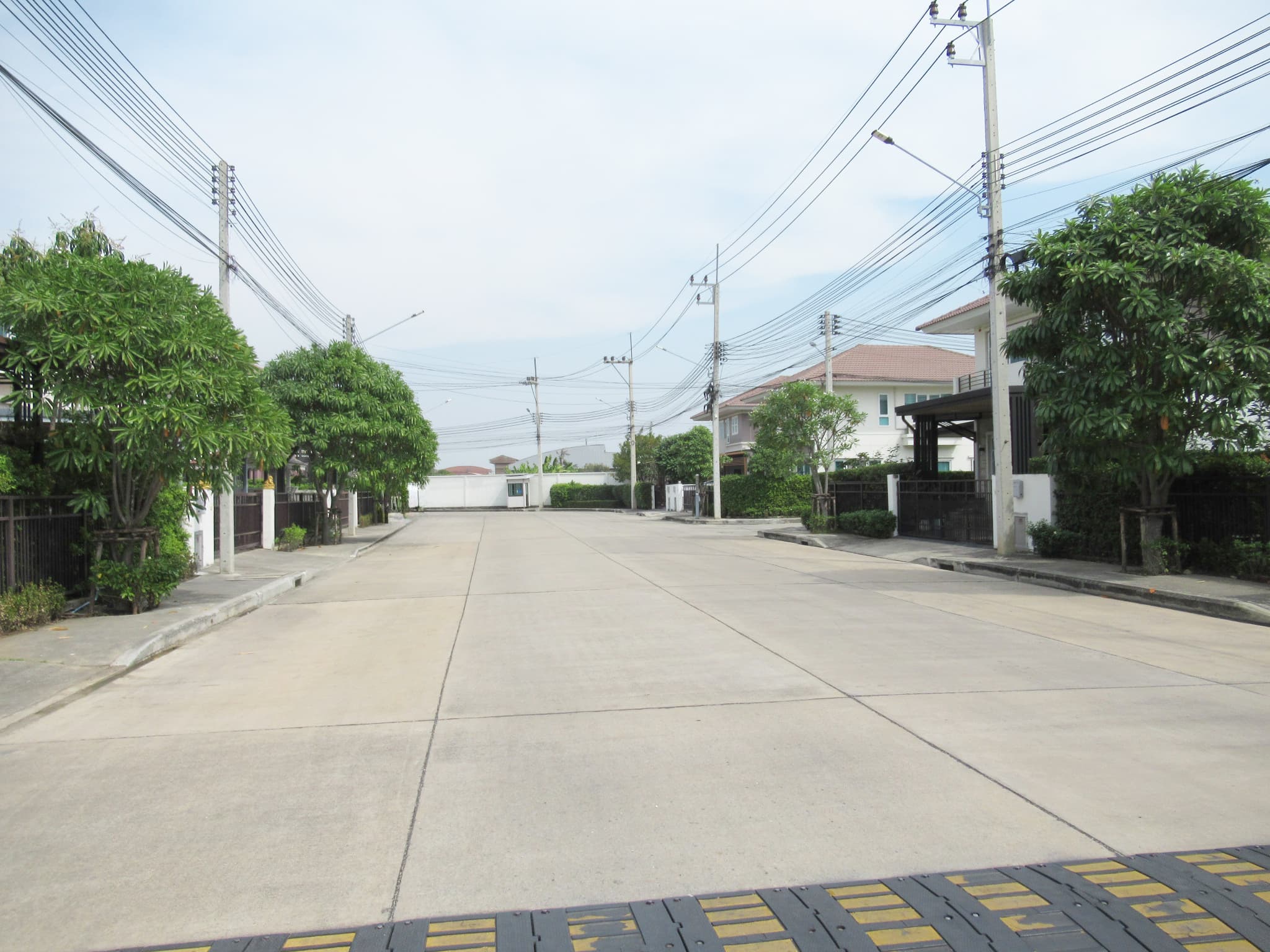 b528e68c-147251-0.jpg