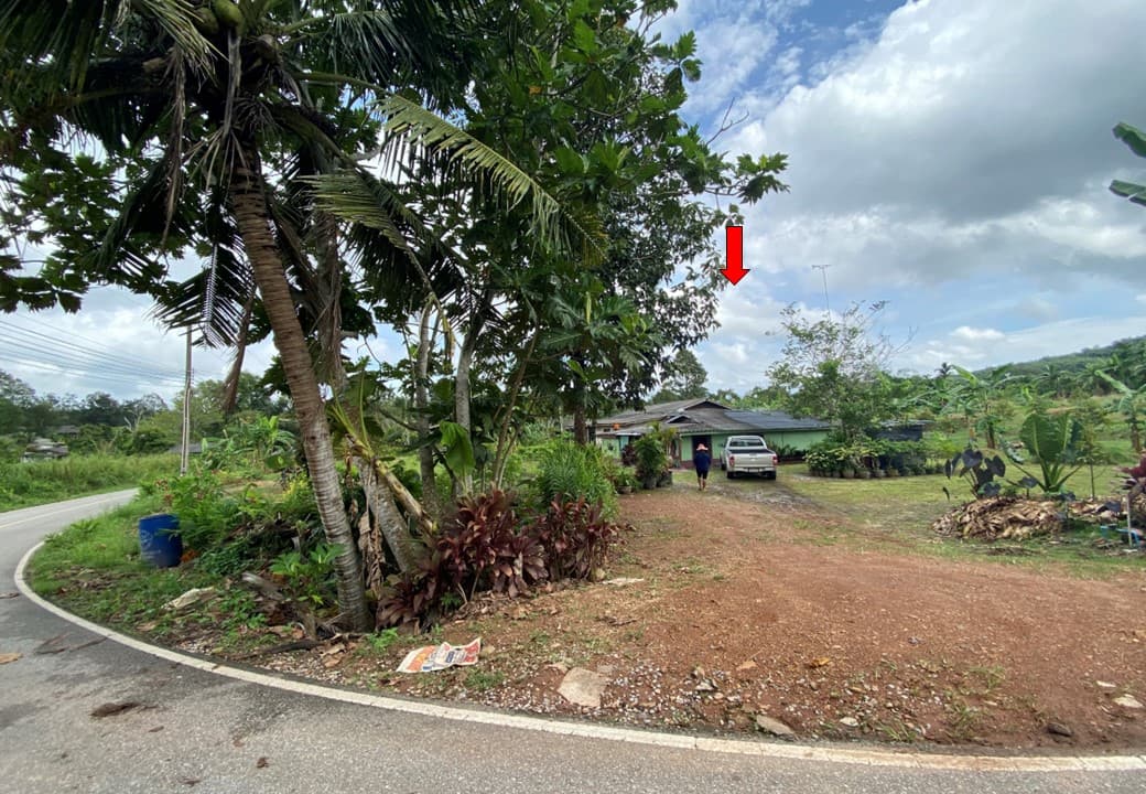 สไลด์6.JPG