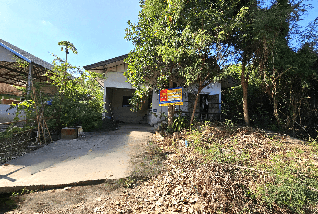 Canva Bamm (95).png