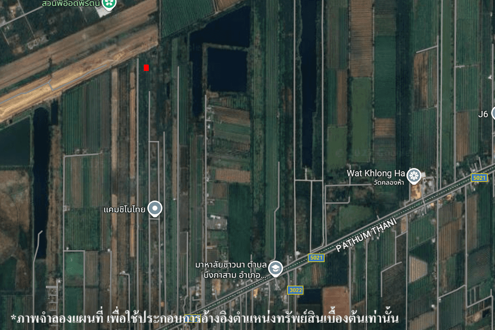 image (7).png