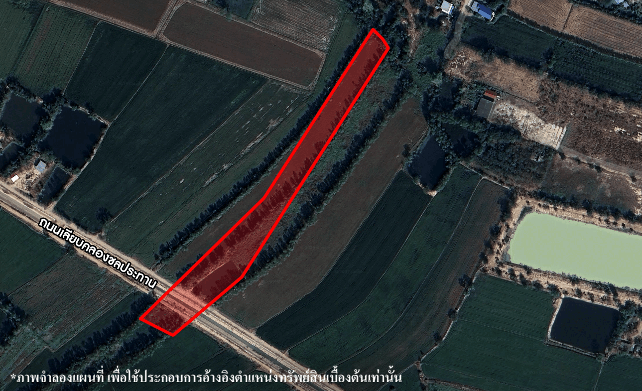 image (419).png
