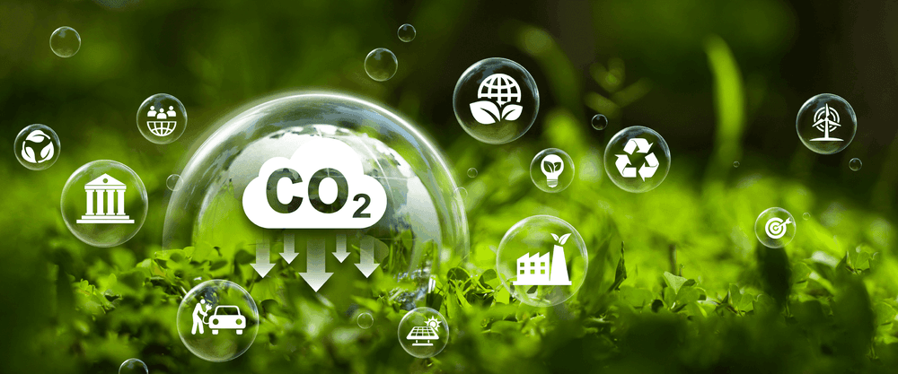 waste-management_hero-banner_2.4-1_desktop(1).png