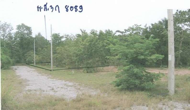 IMG12199.jpg