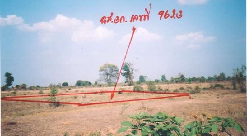 IMG12372.jpg