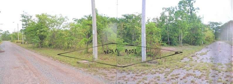 IMG14683.jpg