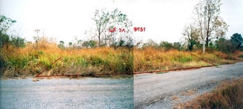 IMG1725.jpg