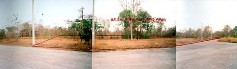 IMG1999.jpg