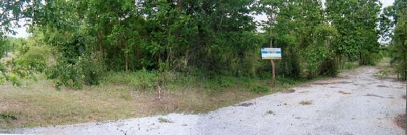 IMG3392.jpg