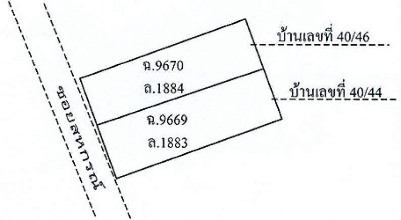 IMG34528.jpg