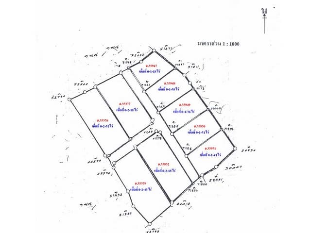 full_20120217143051.jpg