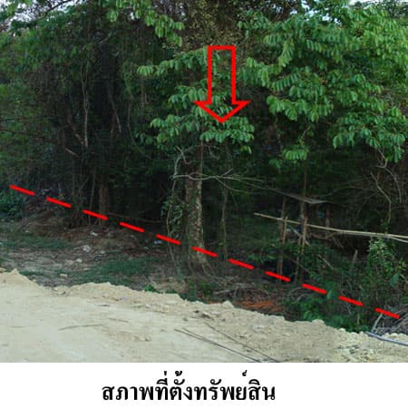 full_20121213091846.jpg