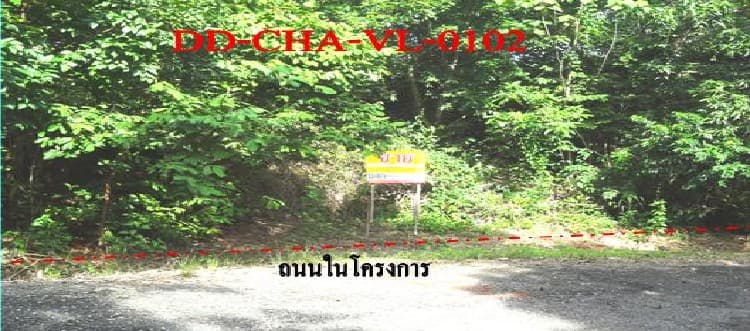 full_20130618091558.jpg